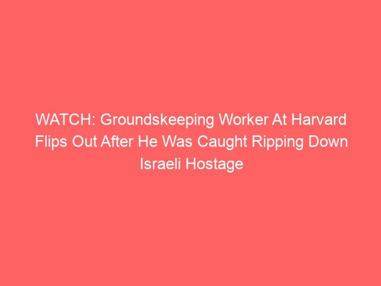 Watch: Groundskeeper at Harvard flinches after he was caught tearing down Israeli Hostage posters