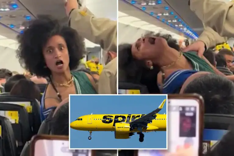 Watch woman in cartoon meltdown as she is dragged from Spirit Airlines flight.