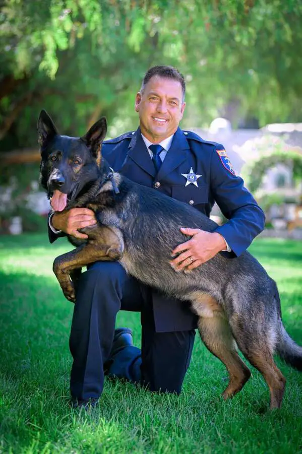 After a 9-year career, Dax the police dog is forced to retire due to serious injuries